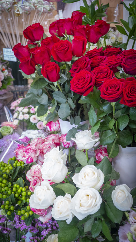 Livraison de bouquets Belfort