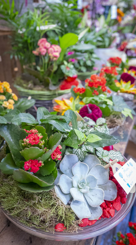 Fleuriste Belfort